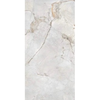 Adige Mink Glossy 60х120