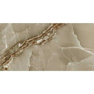 Agate Coffe Polished 60x120