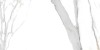 Aira Polished White 60x120
