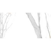 Aira Polished White 60x120