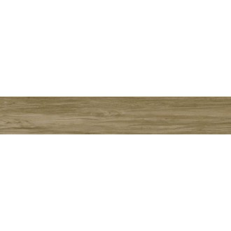 Alessandria Camel 19.5x120