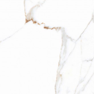 Alex Calacatta Polished 60x60