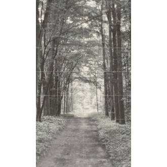 All in white 2 119,8х209,8