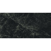 Alpi Green Polished Rect 60x120