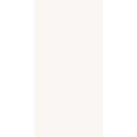 Alpi White Polished 160x320
