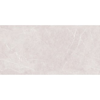 Alpine Grey Lucent 120х60