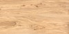 Alpine Natural Wood Matt 60x120
