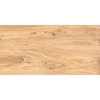 Alpine Natural Wood Matt 60x120