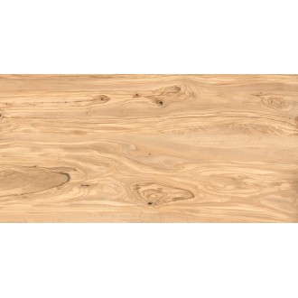 Alpine Natural Wood Matt 60x120