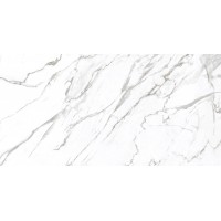 Alpinus Statuario White 120x60