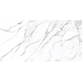 Alpinus Statuario White 120x60