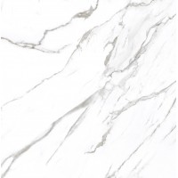 Alpinus Statuario White 60x60