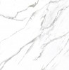 Alpinus Statuario White 60x60