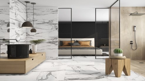 Керамогранит Altissimo Argenta Ceramica