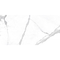 Alto Statuario Vienmatch L Polished 160x320