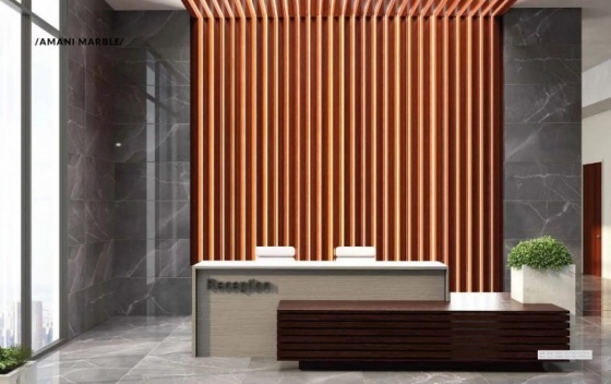 Amani Marble (RAK Ceramics)