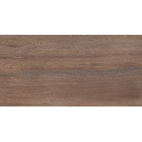 Amazon Wood Brown Matt 60х120