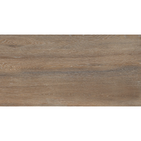 Amazon Wood Natural Matt 60х120