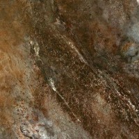 Amazona Coffee Leviglass 120x120