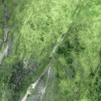 Amazona Lemon Leviglass 120x120