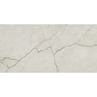 Amboise Lux Pol Rect 60*120