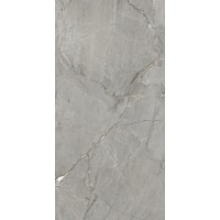 Amedio Grey Glossy 60х120