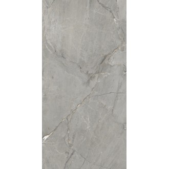 Amedio Grey Glossy 60х120