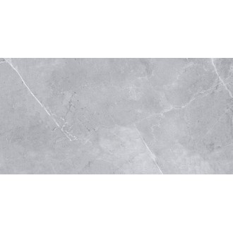 Amphora Light Grey 60x120
