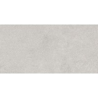 Andre серый 60х120