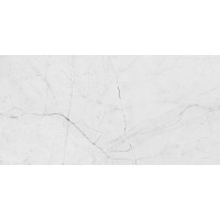 Angel White Polished 60x120