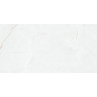 Anil White Nano Polished 59.7x119.8