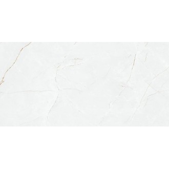 Anil White Nano Polished 59.7x119.8