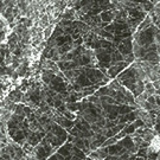 Anima Grey St Laurent Tozzetto Lucidato 5,7*5,7