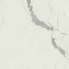 Anima Statuario Venato Rett Lucidato 60*60*9,5