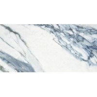 Annie Blue Pulido Rect 59x119