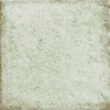 Anticatto Bianco 22,5х22,5