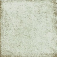 Anticatto Bianco 22,5х22,5