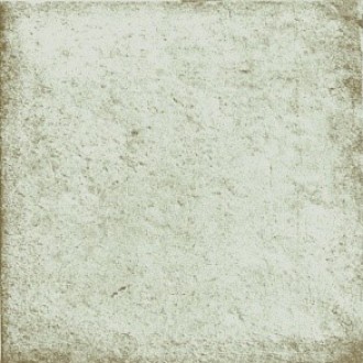 Anticatto Bianco 22,5х22,5