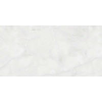 Antisky Grey Glossy 60x120