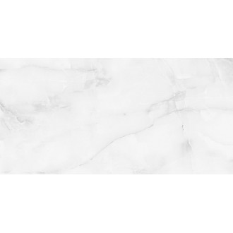 Antisky Grey light Polished 60x120