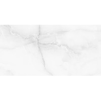 Antisky Light Grey Satin 60x120