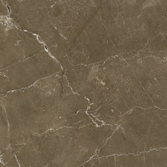 Anubis Brown 44.7x44.7