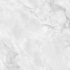Arabescato Grey Glossy 80x80