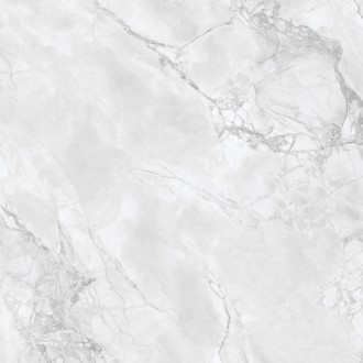 Arabescato Grey Glossy 80x80