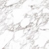Arabescato Oscuro Elegance Polished 120х120