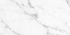 Aral White Polished Rect 60x120