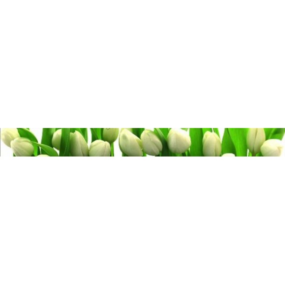Керамическая плитка Arco TULIPANY 6х60