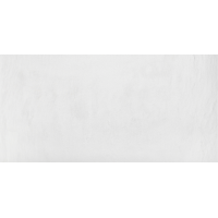 Ardesia Bianco 30x60