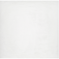 Ardesia Bianco 59.4x59.4