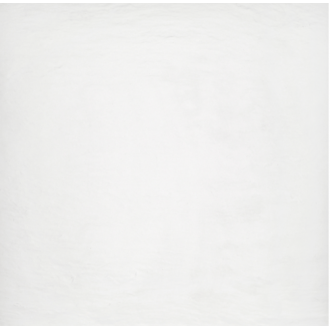 Ardesia Bianco 59.4x59.4